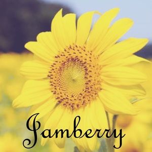 Jamberry I ordered and never Used